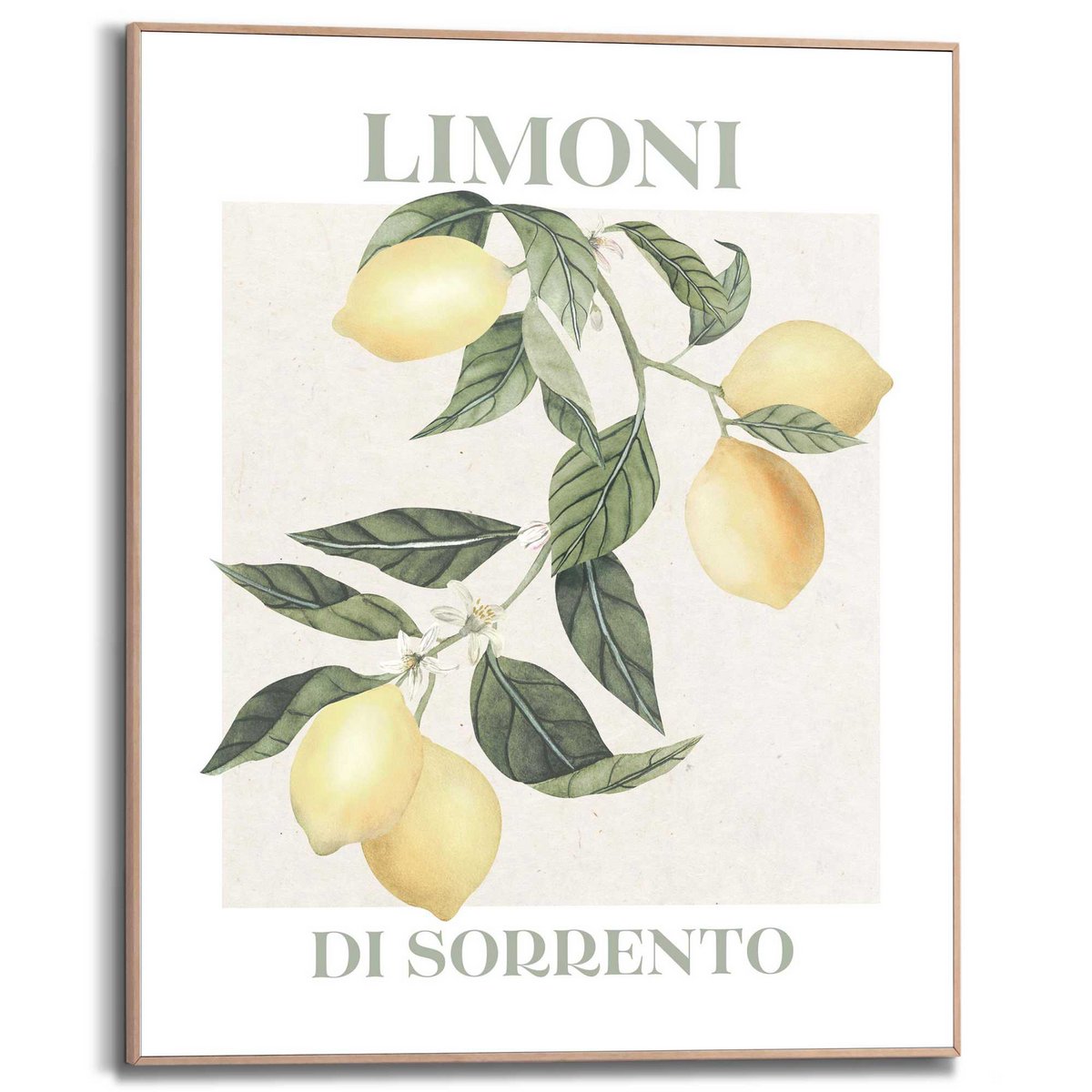 Schilderij  Limoni 50x40