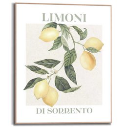Schilderij  Limoni 50x40