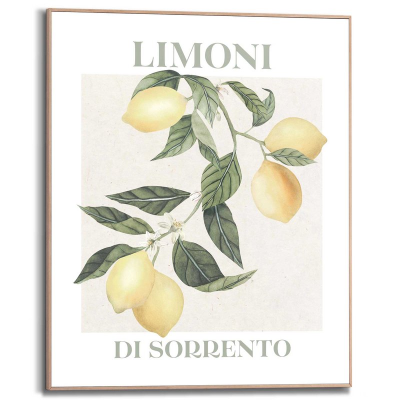 Schilderij  Limoni 50x40