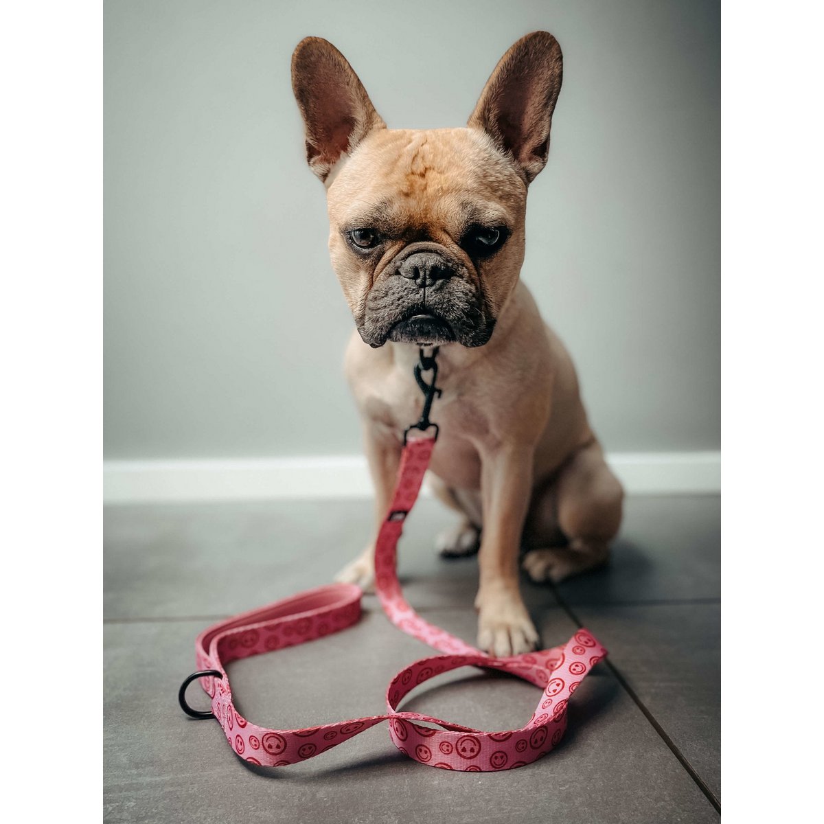 Guinzaglio per cani Happy Hearts