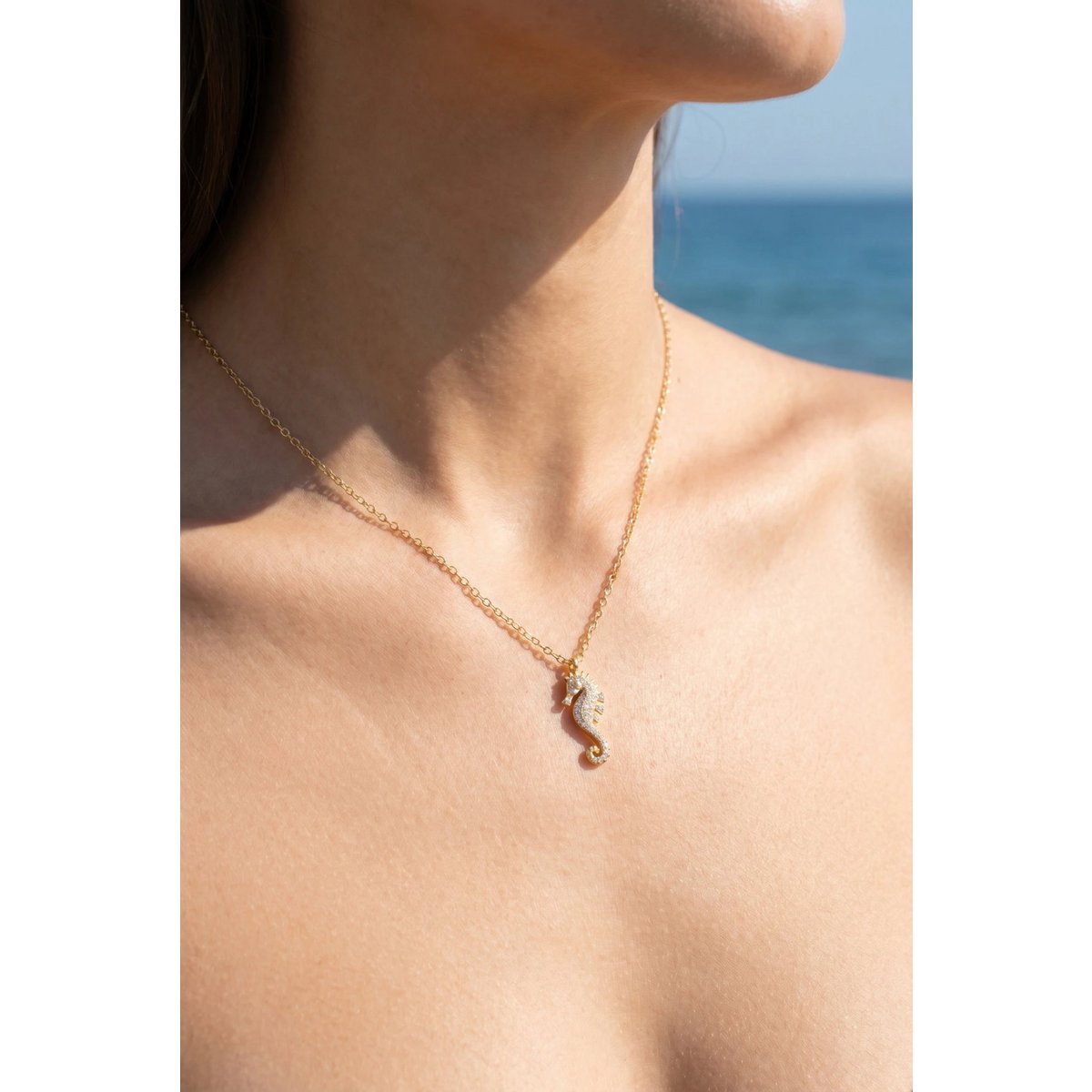 Collier en acier inoxydable