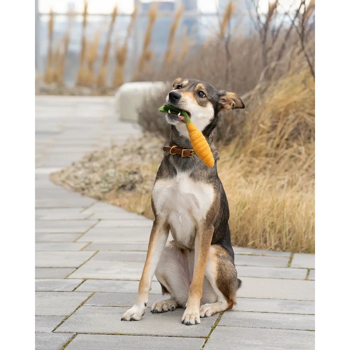 Copain. Jouets pour chiens de Wollfilz "Korotte"