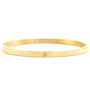 Bangle Steel bracelet Clover Gold