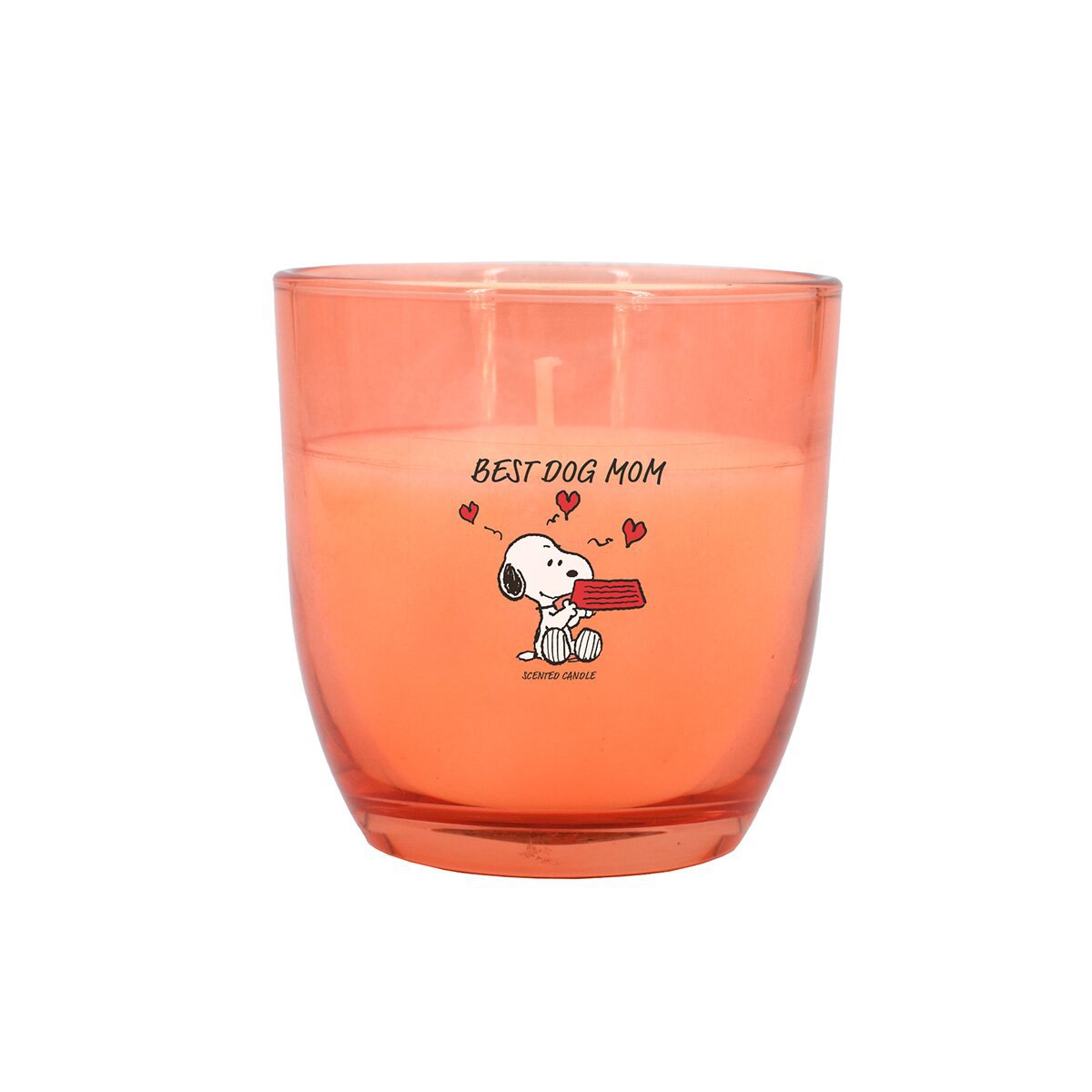 Thekendisplay Peanuts 25 x 100g - 5 x Best Dog Mom, 5 x Best Mom ever, 5 x Good Luck, 5 x You're my superhero, 5 x Thank you