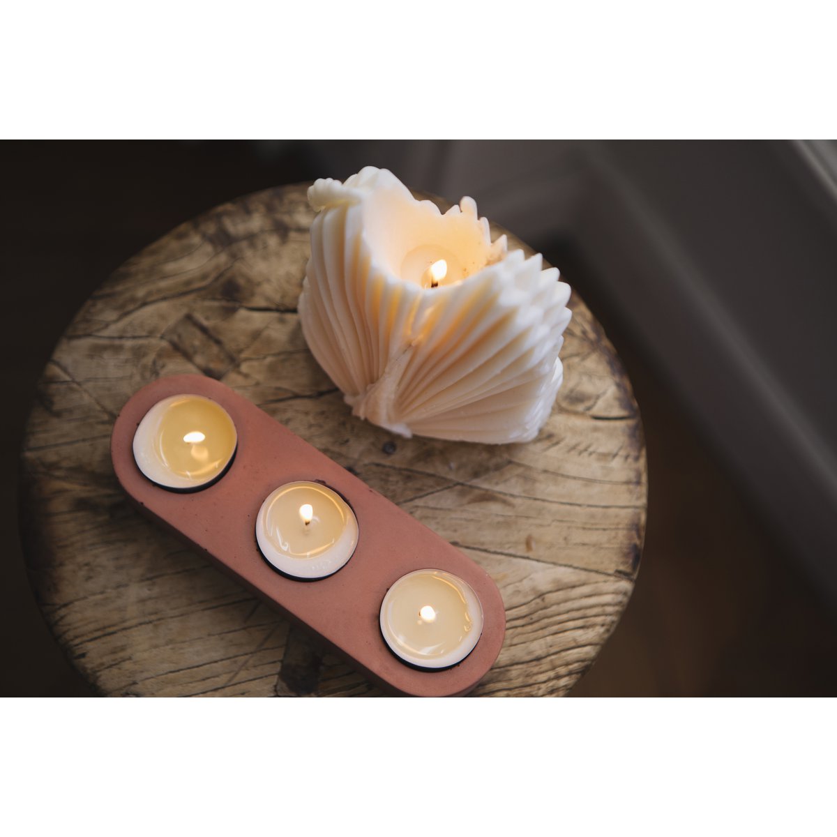 Anne Schotelwarmer Trio