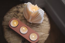 Anne Schotelwarmer Trio