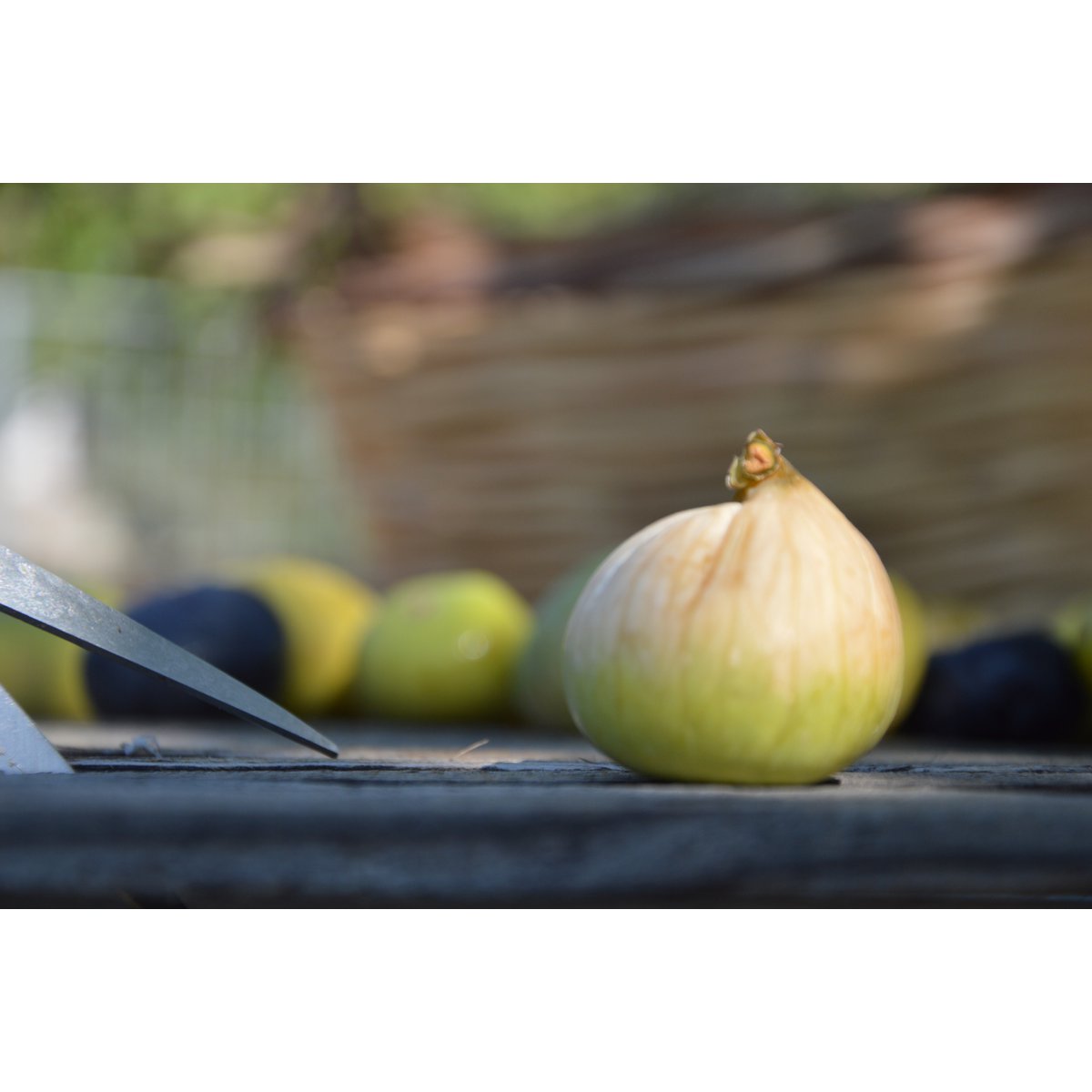 KUMILIO Premium Sundried Kími Figs