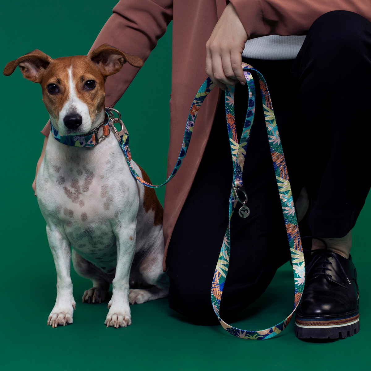 Correa para perro Frans