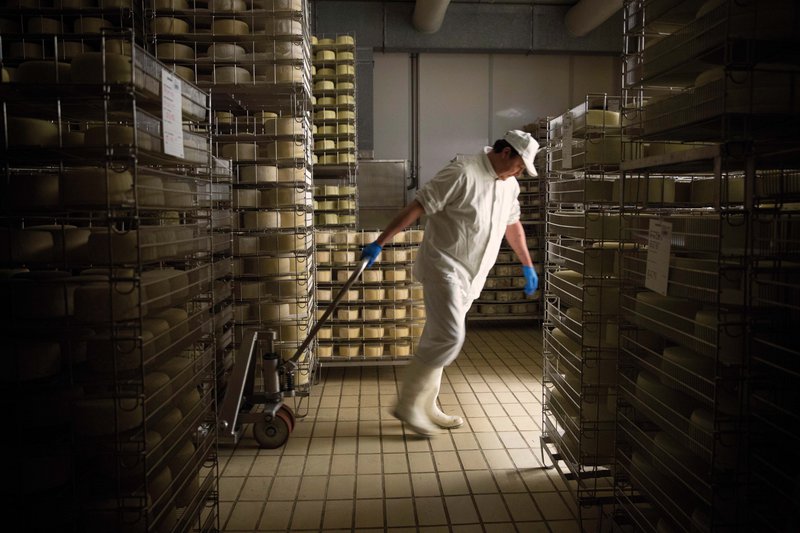🇬🇧 Young pecorino aged 30 days – artisanal sheep's cheese