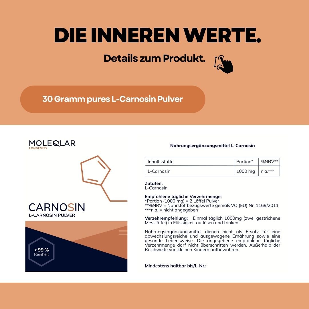Carnosin Pulver