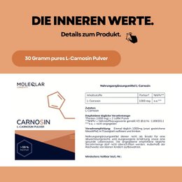 Carnosine Pulver