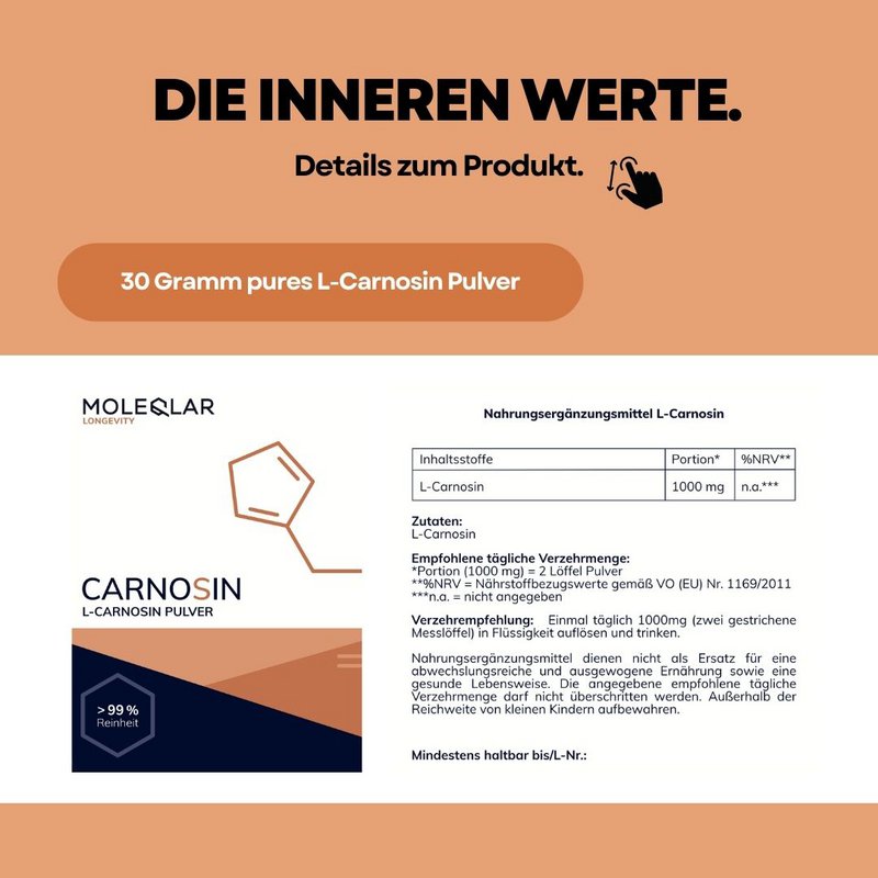 Carnosin Pulver