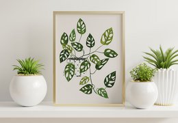 Monstera Obliqua Impression artistique