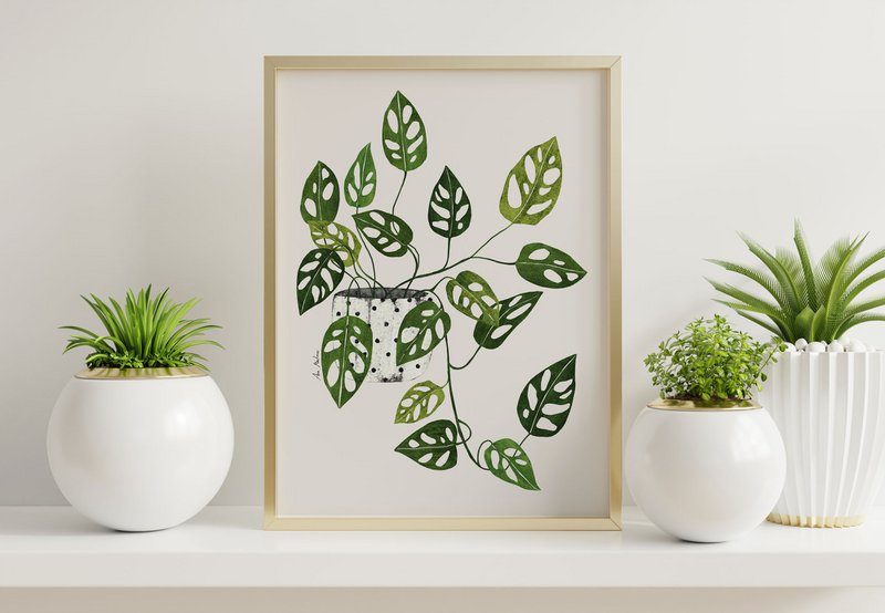 Monstera Obliqua kunsttryk