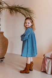 Marina Denim Dress