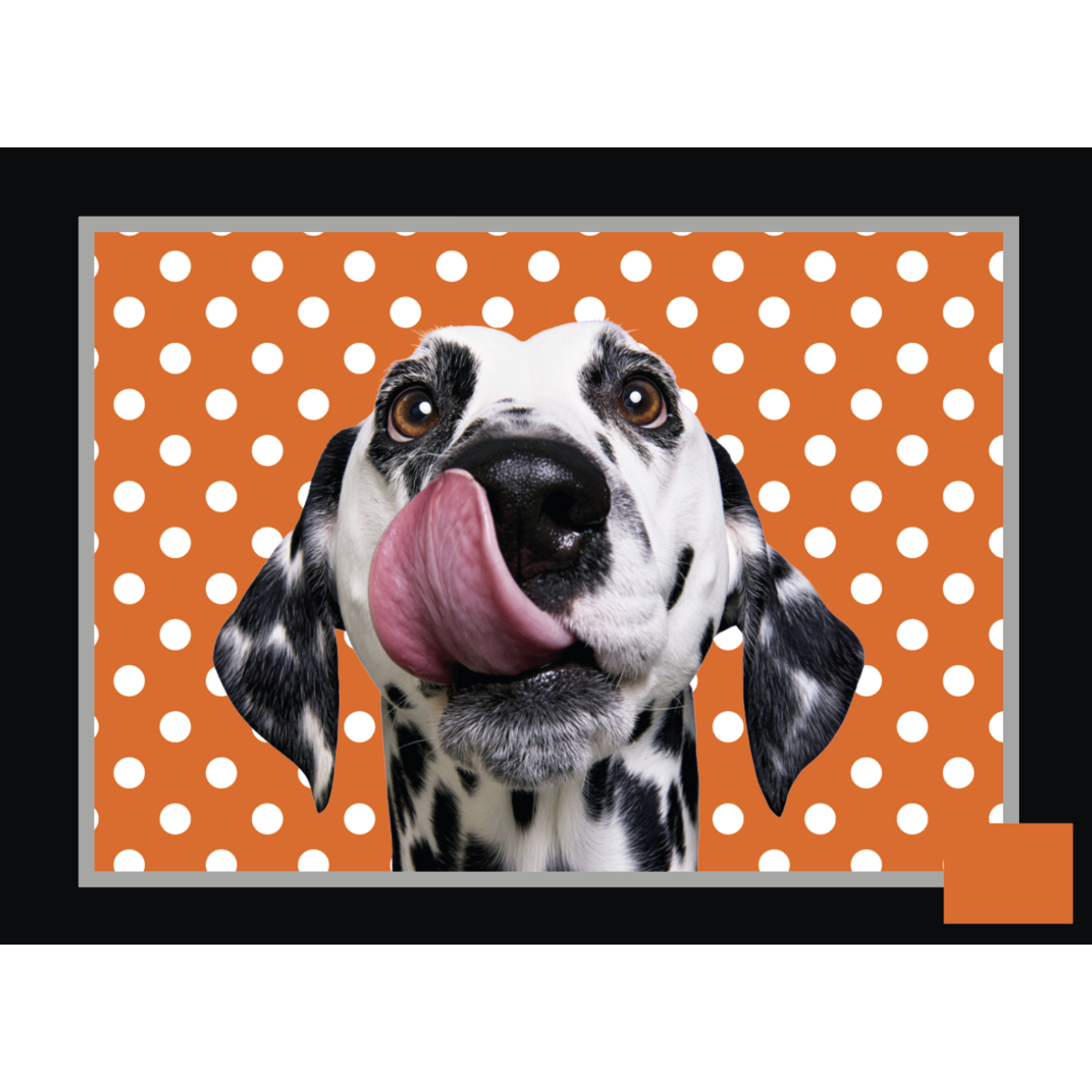 PRE ORDER NOV Toilettas Eigenzinnige Dalmatiër
