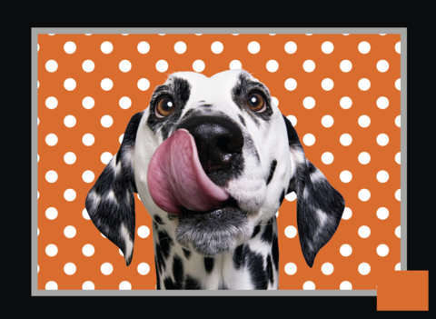 PRE ORDER NOV Toilettas Eigenzinnige Dalmatiër