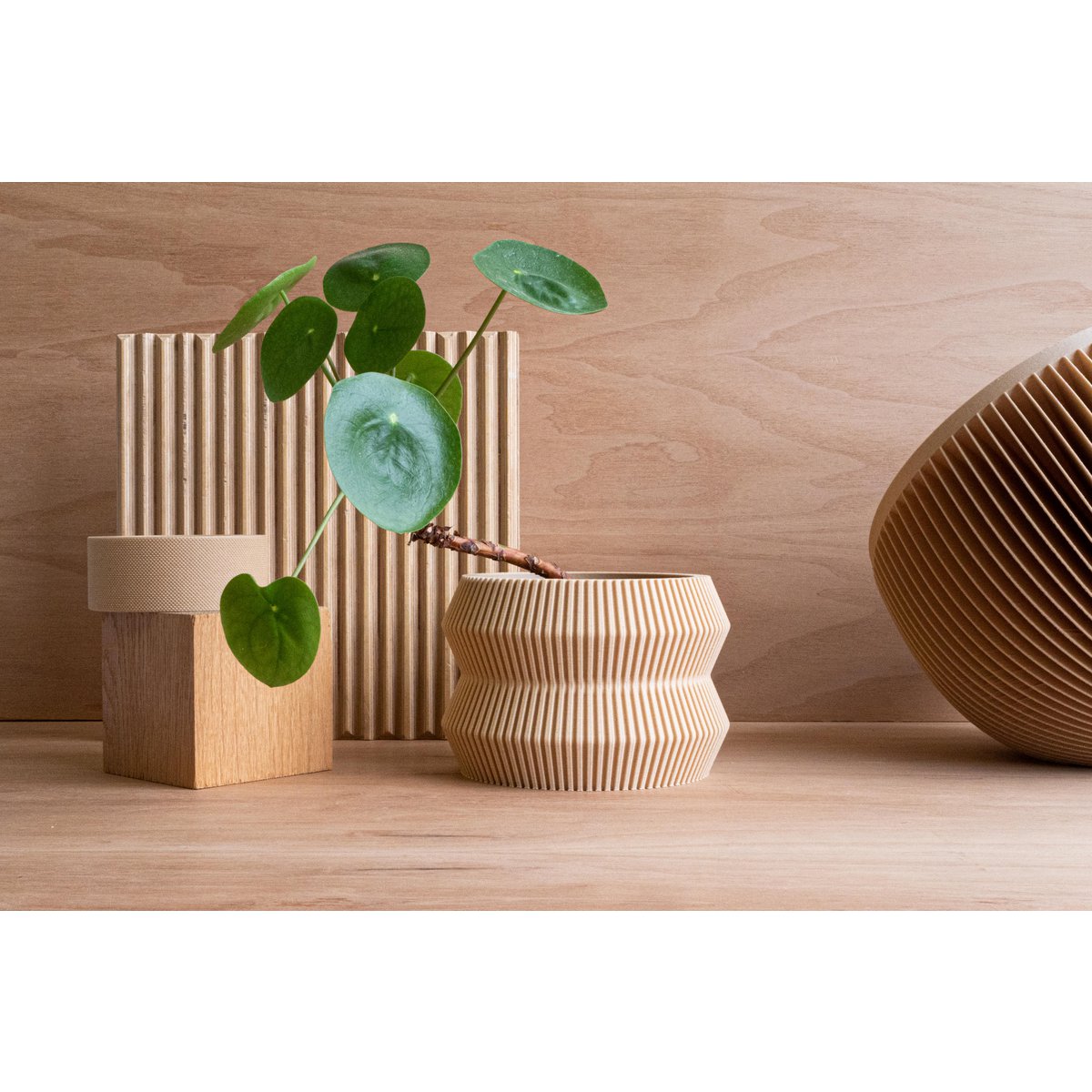 ITO Indoor Planter