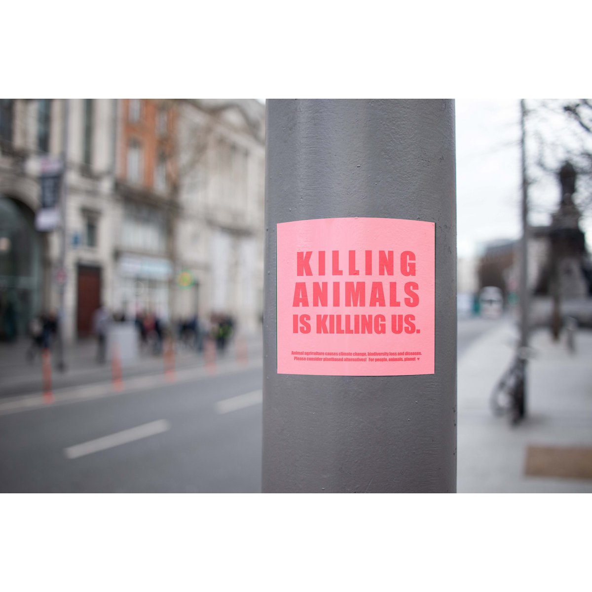 Vegan Indoor/Outdoor Stickers 'Killing Animals is Killing Us'