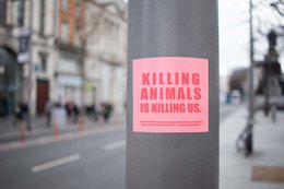 Vegan Indoor/Outdoor Stickers 'Killing Animals is Killing Us'