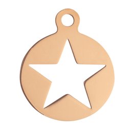 Pinkiezz charm star pendant, a round pendant with a star cutout design, available in various colors.