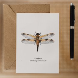 Postkarte Libelle – Miniprint Vierfleck Libelle