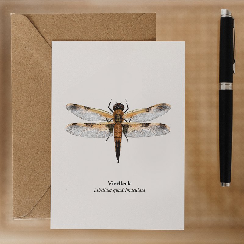 Postkarte Libelle – Miniprint Vierfleck Libelle