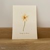 greeting card - powder flower
