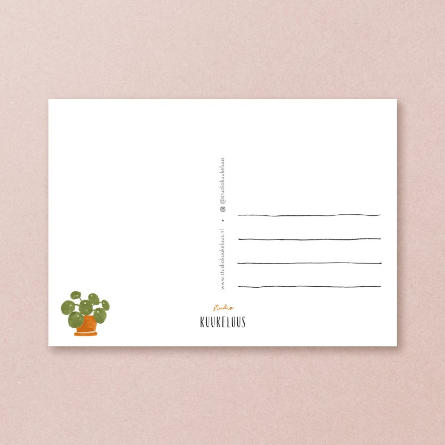 Postcard | Calico cat