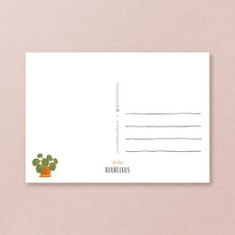 Postkort | Calico kat