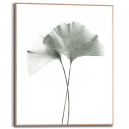 Painting Slim Frame Ginkgo Leaf 50x40