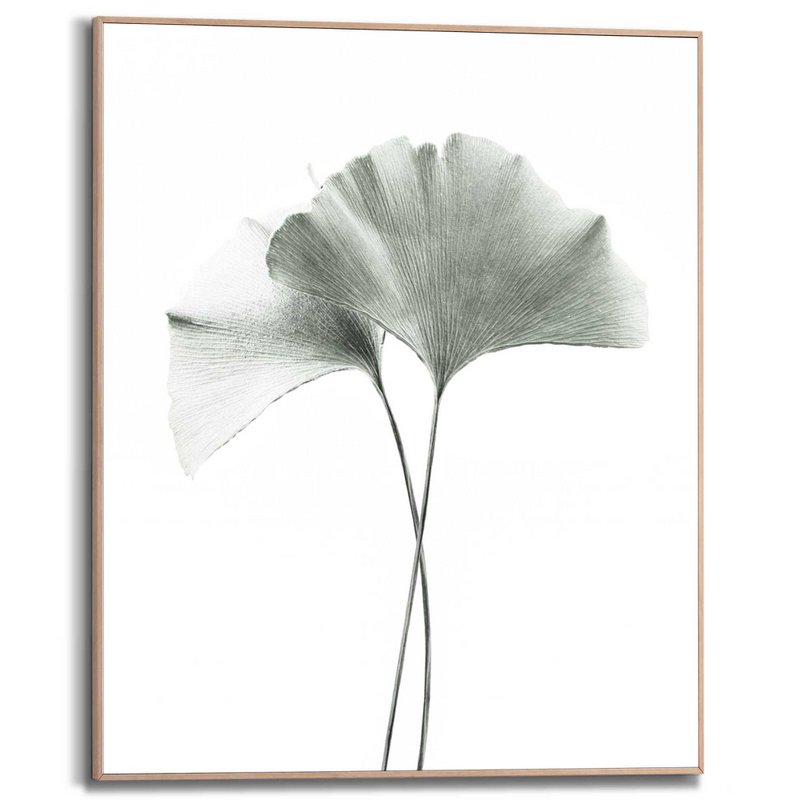 Painting Slim Frame Ginkgo Leaf 50x40