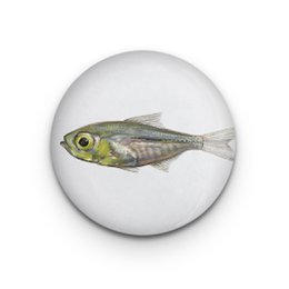 Decorative magnet Little Fish