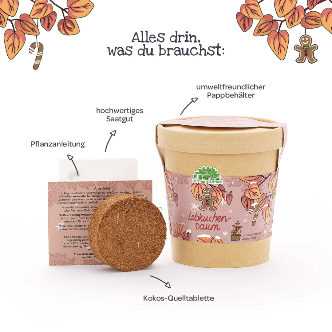 Lebkuchenbaum aus dem Becher