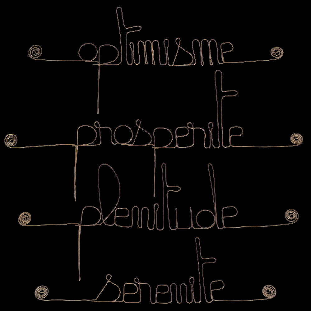 Lot de petits mots en fil de fer - POSITIF : Optimisme, Plénitude, Prospérité, Sérénité