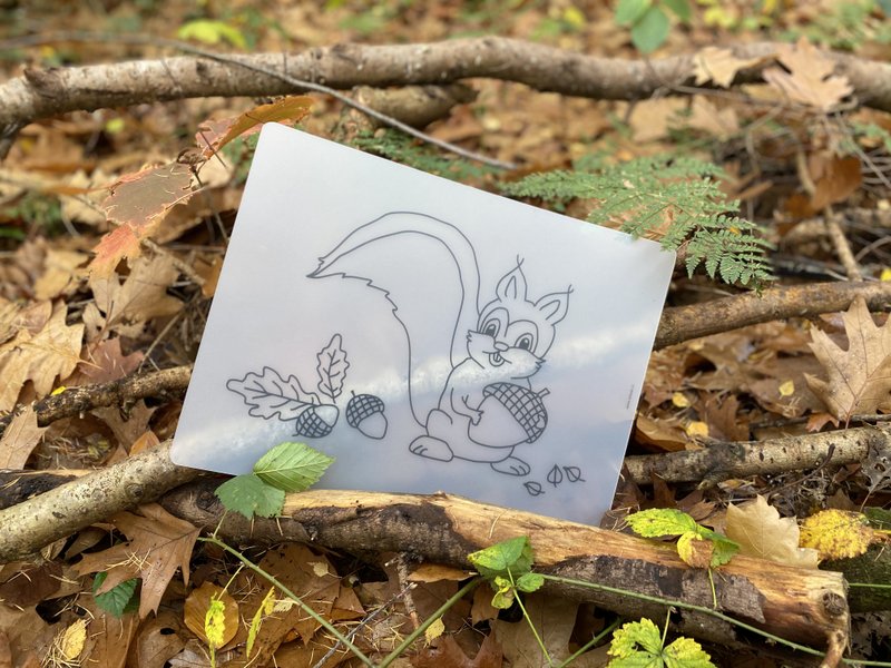 Einfärbbares Tischset Eichhörnchen Sandy