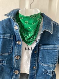 Drool scarf Paisley Green