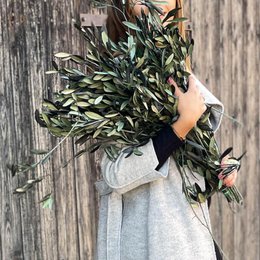 Preserved olive branches green from Italy