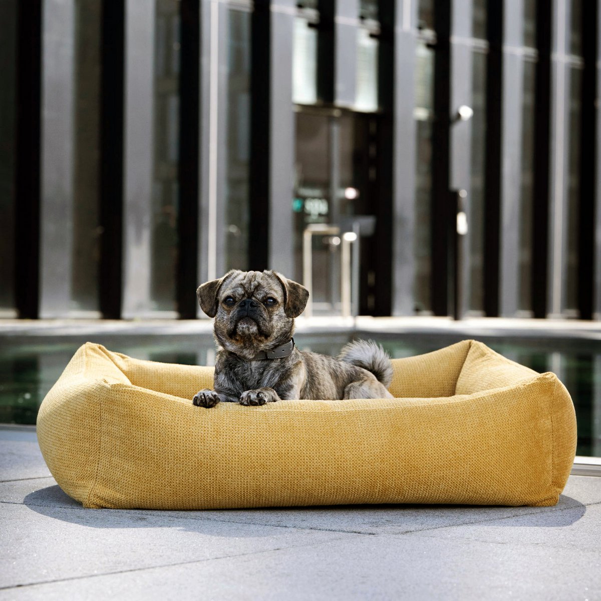TUDOR ORTHO | Premium Orthopedic Dog Bed