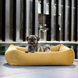 TUDOR ORTHO | Premium Orthopedic Dog Bed