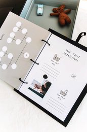 Pregnansy and First Year book  HOW YOU LEARN THE WORLD