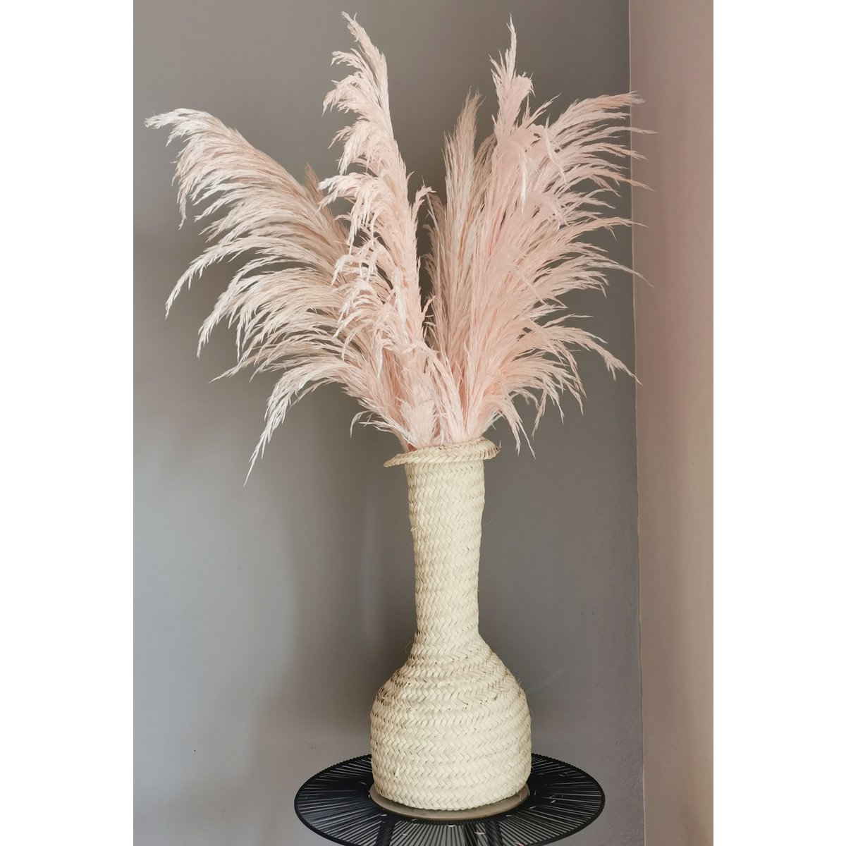 Jasnoróżowa Pampas, stabilizowana, +/- 80cm, 1 łodyga