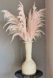 Pampas Pale Pink, stabilisiert, +/- 80cm, 1 Stiel