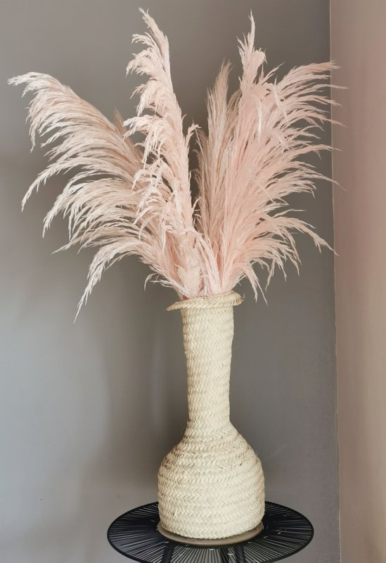 Pampas Pale Pink, stabilisiert, +/- 80cm, 1 Stiel