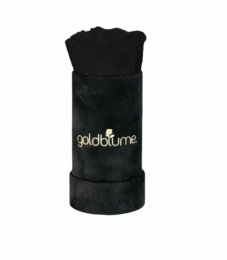 Velvet Black Collection