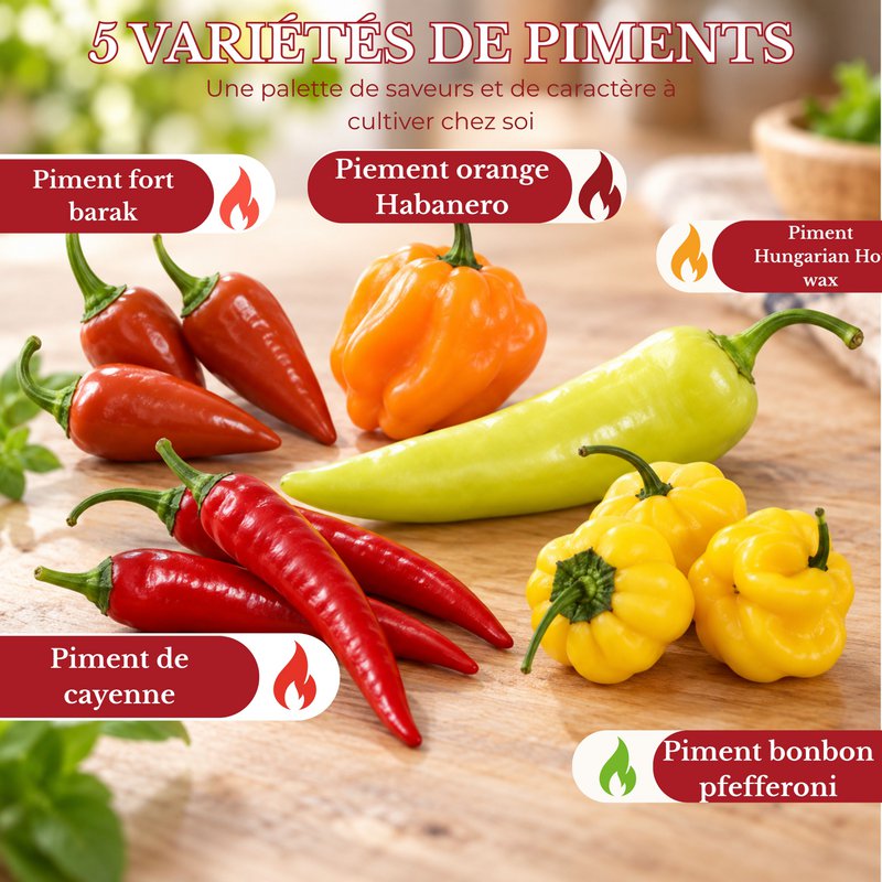 CULTIVEA® Kit de Ají Orgánico para Plantar - Caja de Semillas de Chile con Chile Habanero, Naranja, Cayena, Barak, Húngaro y Candy - Kit Completo de Semillas Vegetales - Idea de Regalo