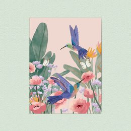 colibrì