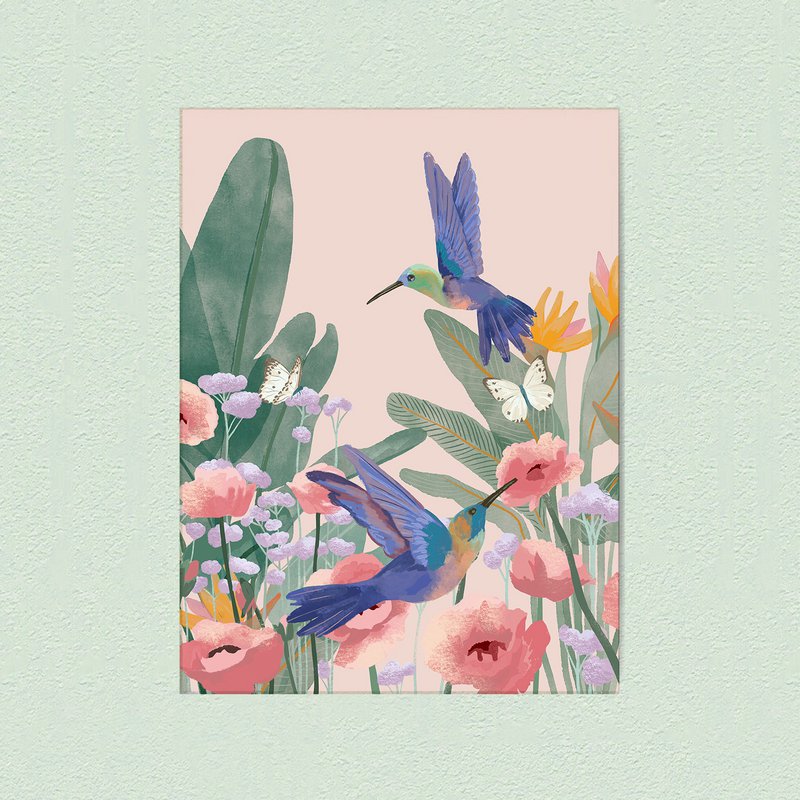colibrì