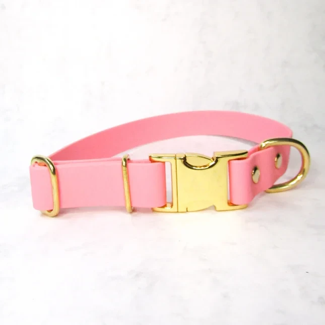 Plain Jane dog collar
