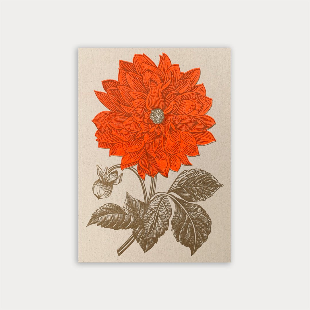 Ansichtkaart / Dahlia / Risografie